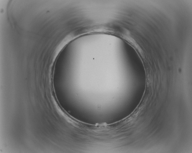 X0000070391483200606231725