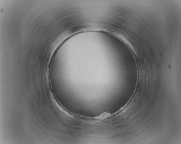 X0000070391484200606231725