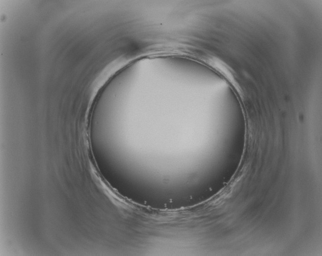 X0000070391485200606231725