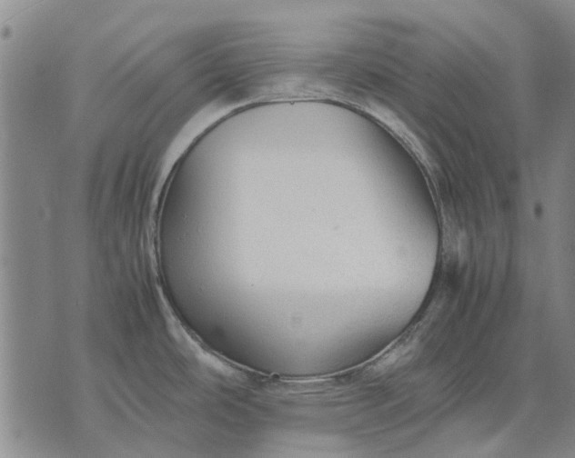 X0000070391486200606231725