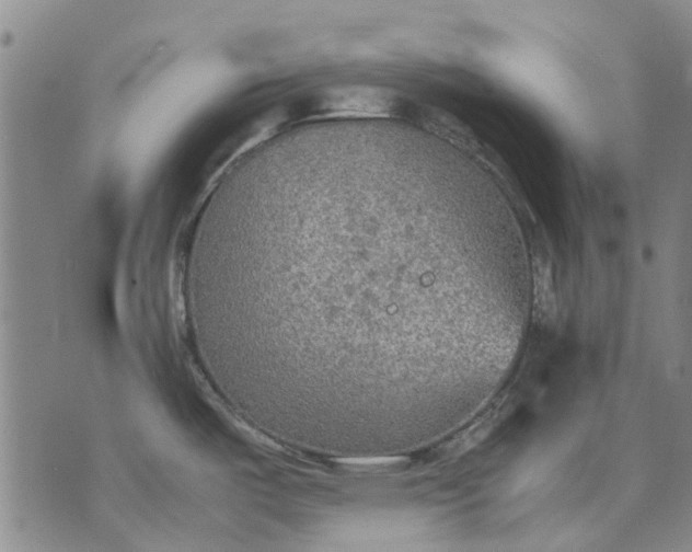 X0000070391487200606231725