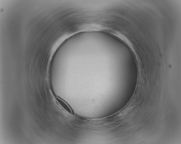 X0000070391488200606231725