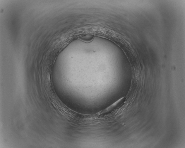 X0000070391489200606231724