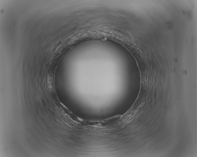 X0000070391490200606231724