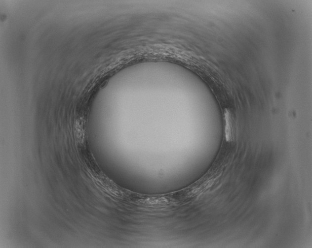 X0000070391491200606231724