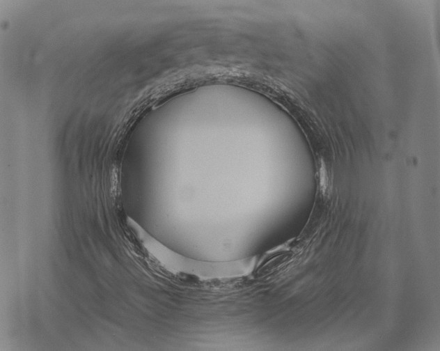 X0000070391492200606231724