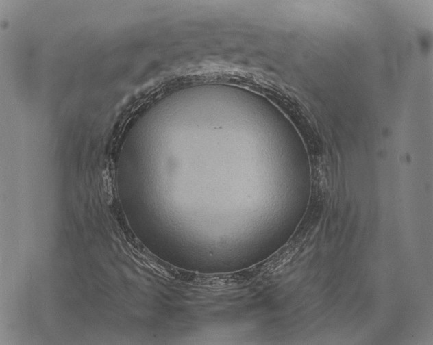 X0000070391493200606231724