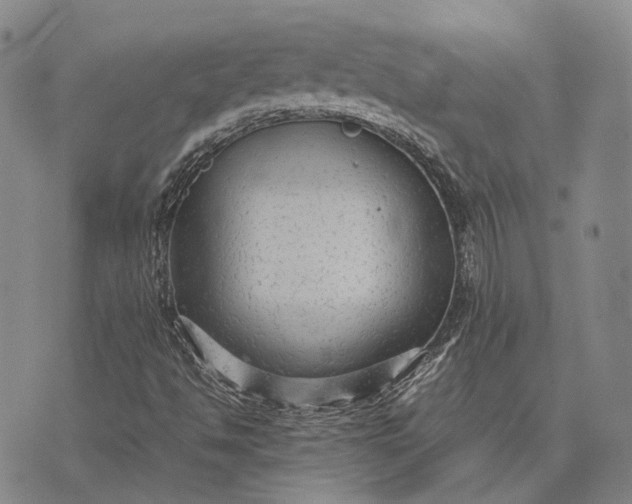 X0000070391494200606231724