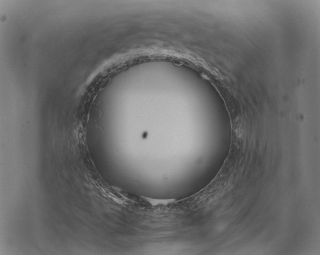 X0000070391495200606231724