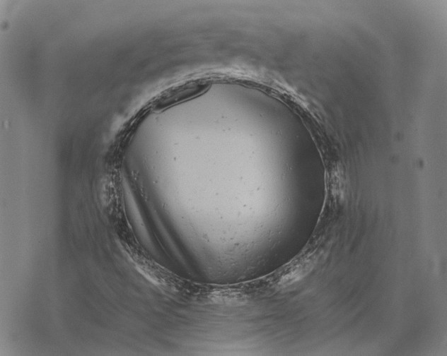 X0000070391496200606231724