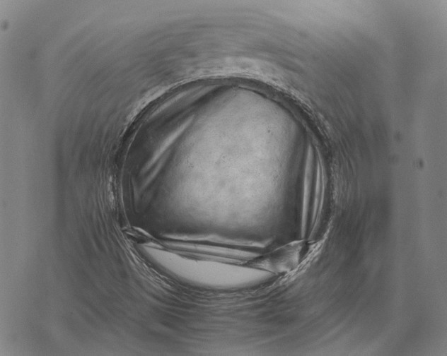 X0000070391497200606231724