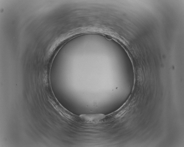 X0000070391499200606231724