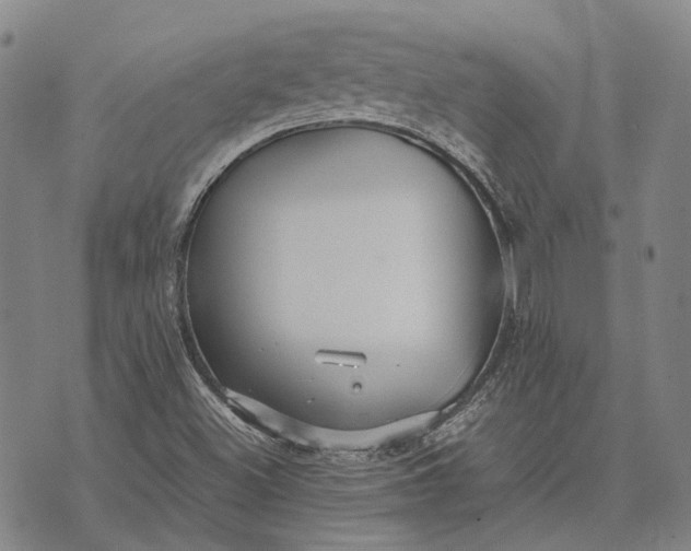 X0000070391500200606231724