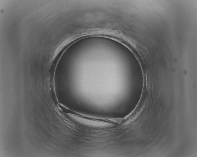 X0000070391501200606231724