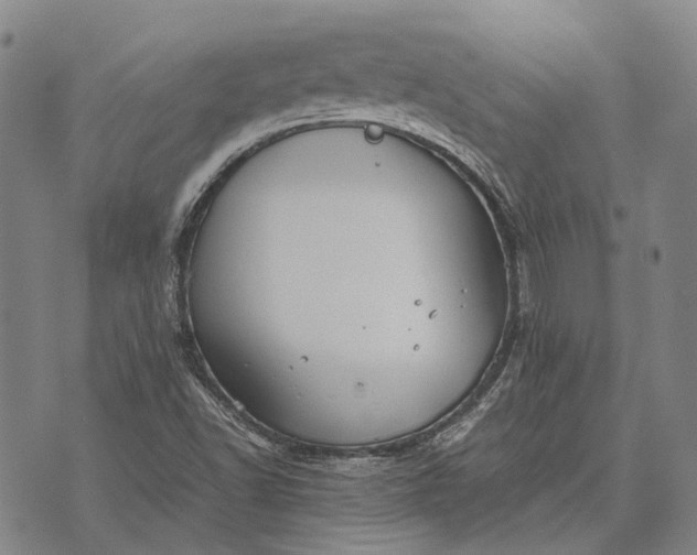 X0000070391502200606231724