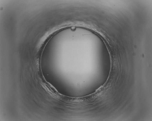 X0000070391503200606231724