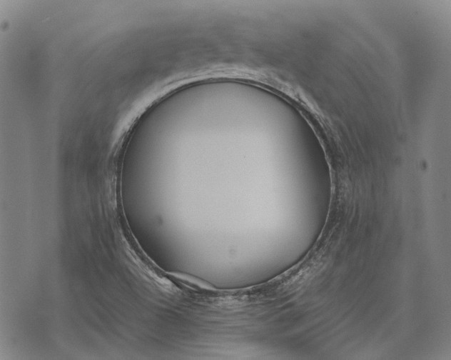 X0000070391504200606231724