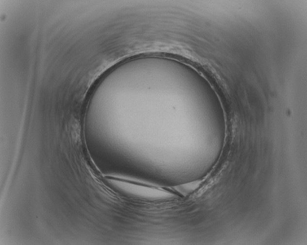 X0000070391505200606231724