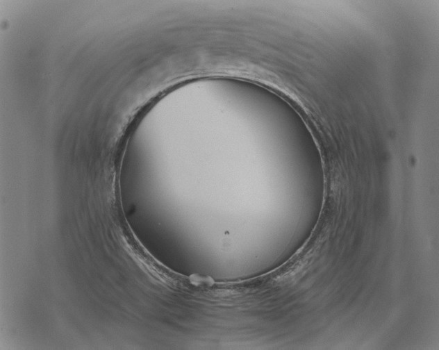 X0000070391507200606231724