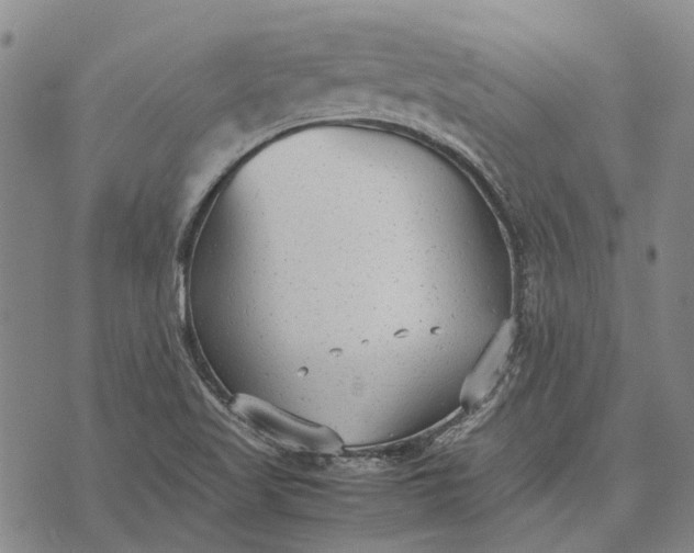 X0000070391509200606231724