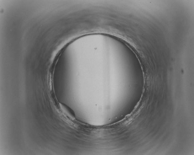 X0000070391510200606231724