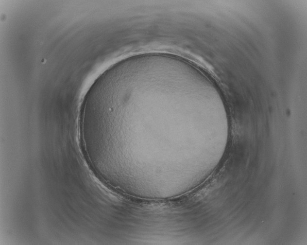 X0000070391512200606231724