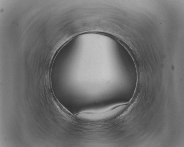 X0000070391513200606231724