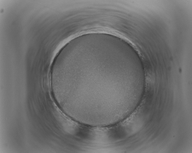 X0000070391514200606231724