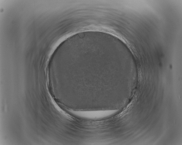 X0000070391515200606231724