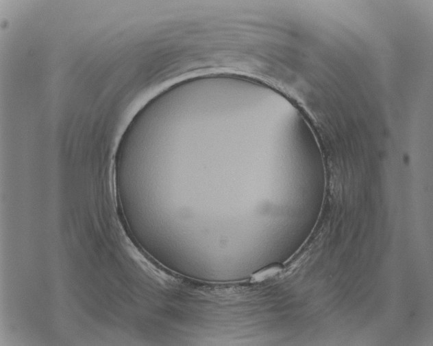 X0000070391516200606231724