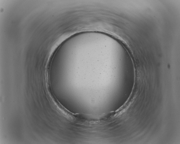 X0000070391517200606231724