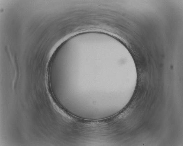 X0000070391518200606231724