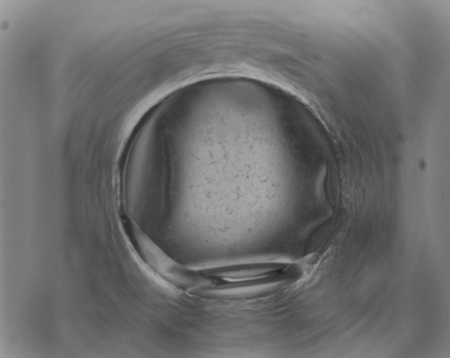 X0000070391519200606231724