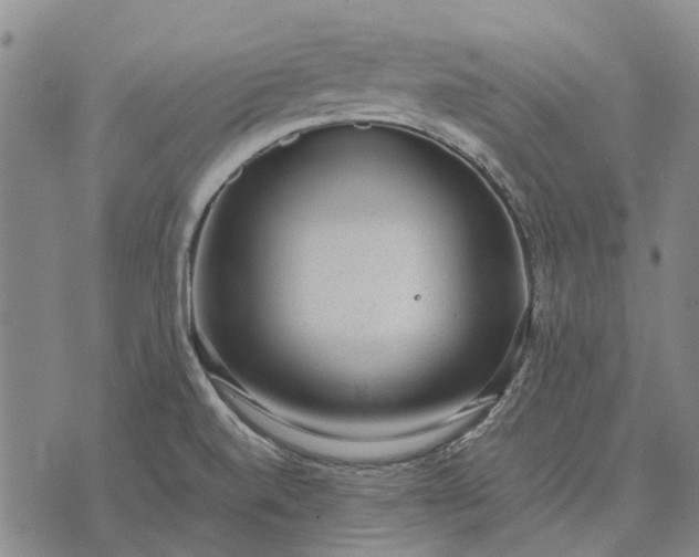 X0000070391520200606231725