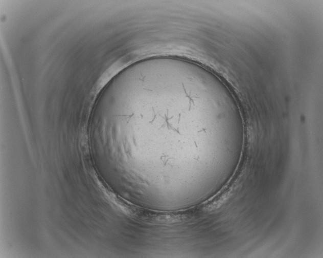 X0000070391521200606231725