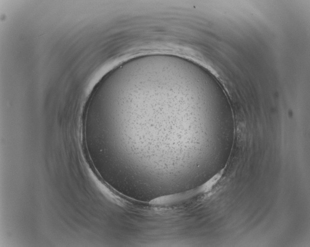 X0000070391523200606231725