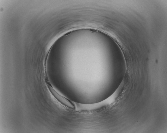 X0000070391524200606231725