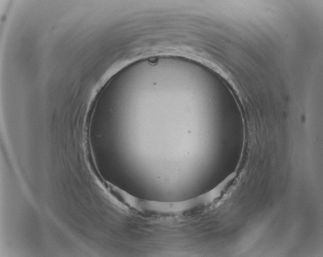 X0000070391525200606231725