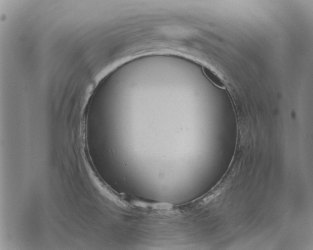 X0000070391526200606231725