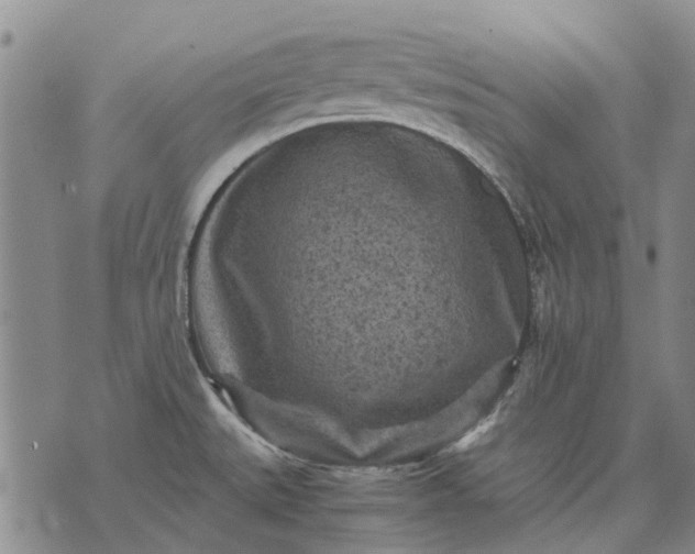 X0000070391527200606231725