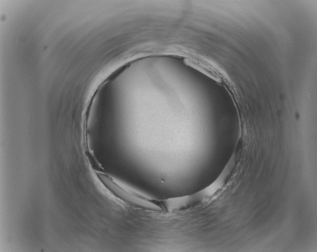 X0000070391528200606231725