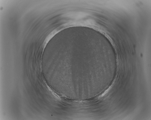 X0000070391529200606231725