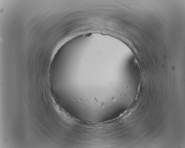 X0000070391530200606231725