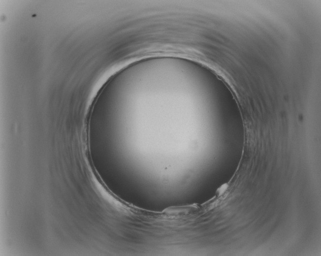 X0000070391531200606231725