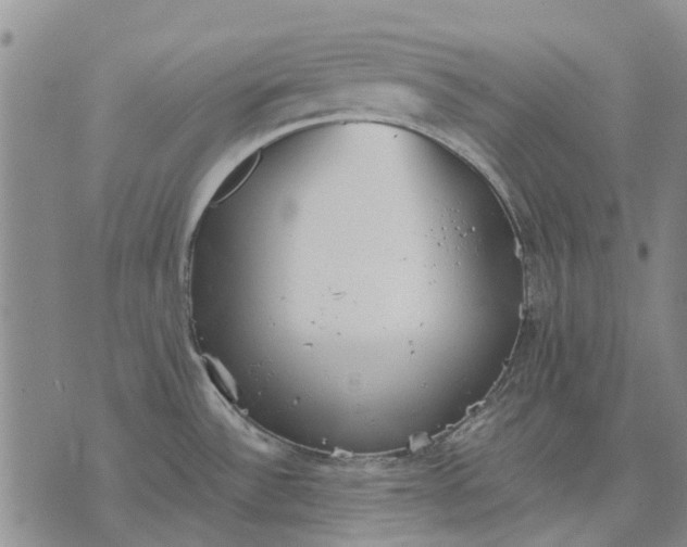 X0000070391532200606231725