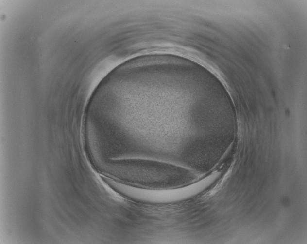 X0000070391533200606231725