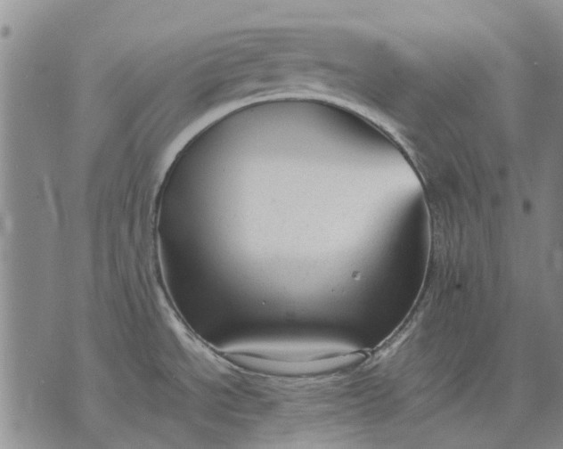 X0000070391534200606231725