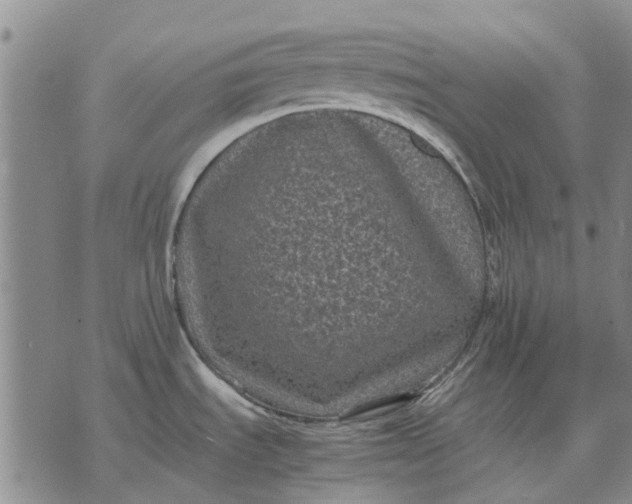 X0000070391535200606231725