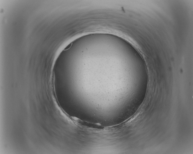 X0000070391536200606231725