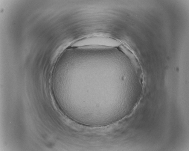 X0000070390001200606301958